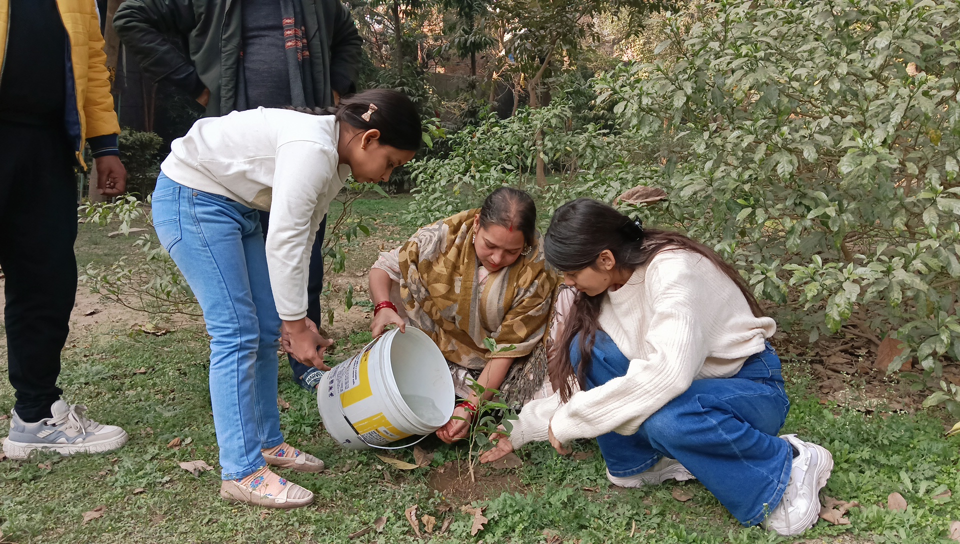 शक्ति नगर के पार्क में निशुल्क वृक्षारोपण कार्यक्रम