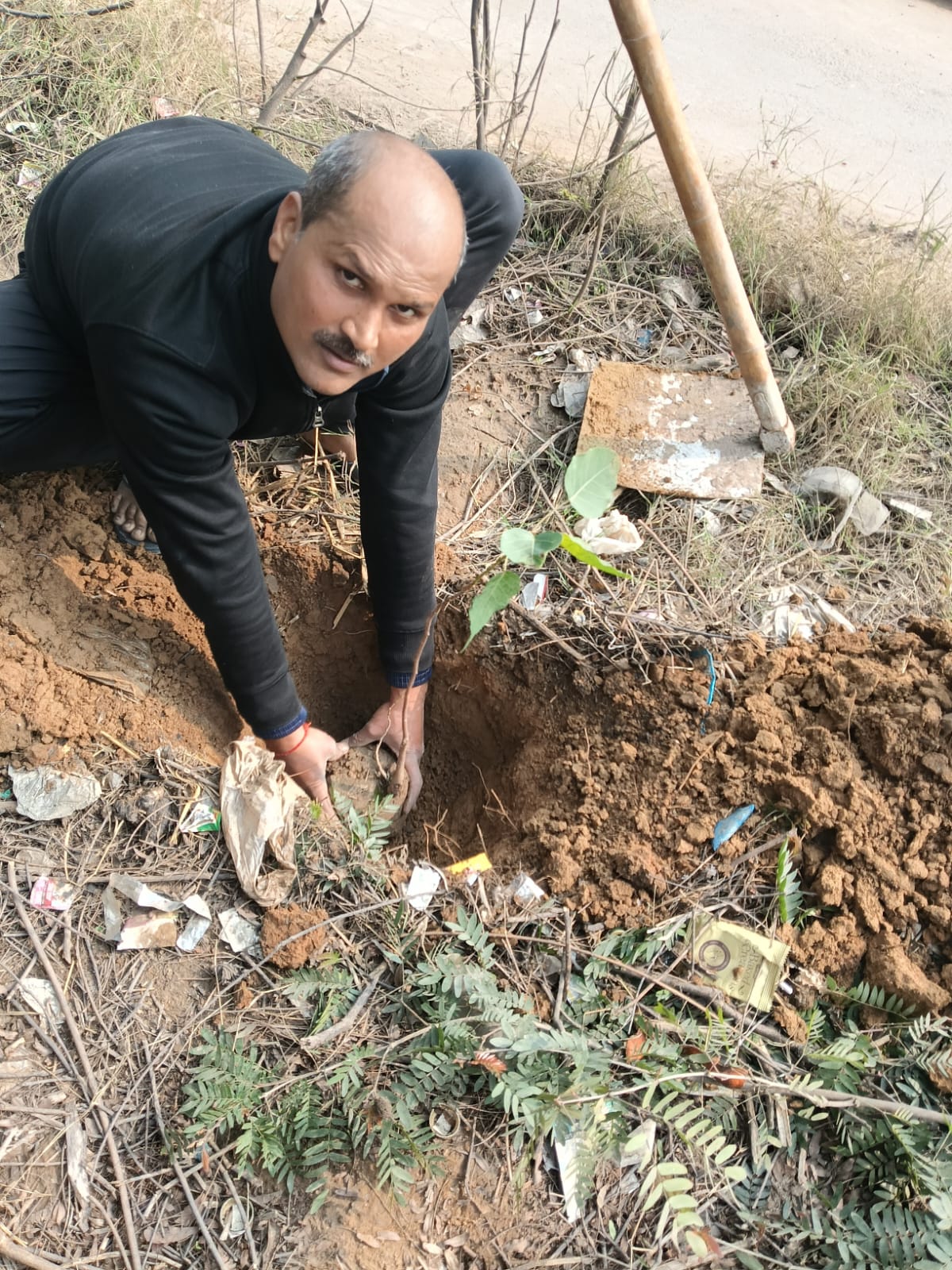 वृक्षारोपण